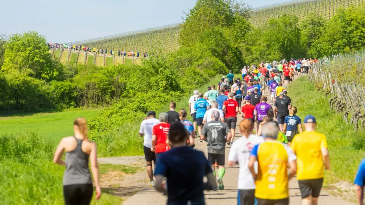 Heilbronner Trollinger Marathon